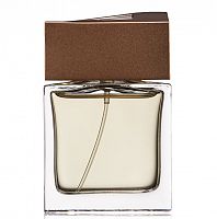 Парфюмированная вода Brioni Eau de Parfum для мужчин (оригинал)